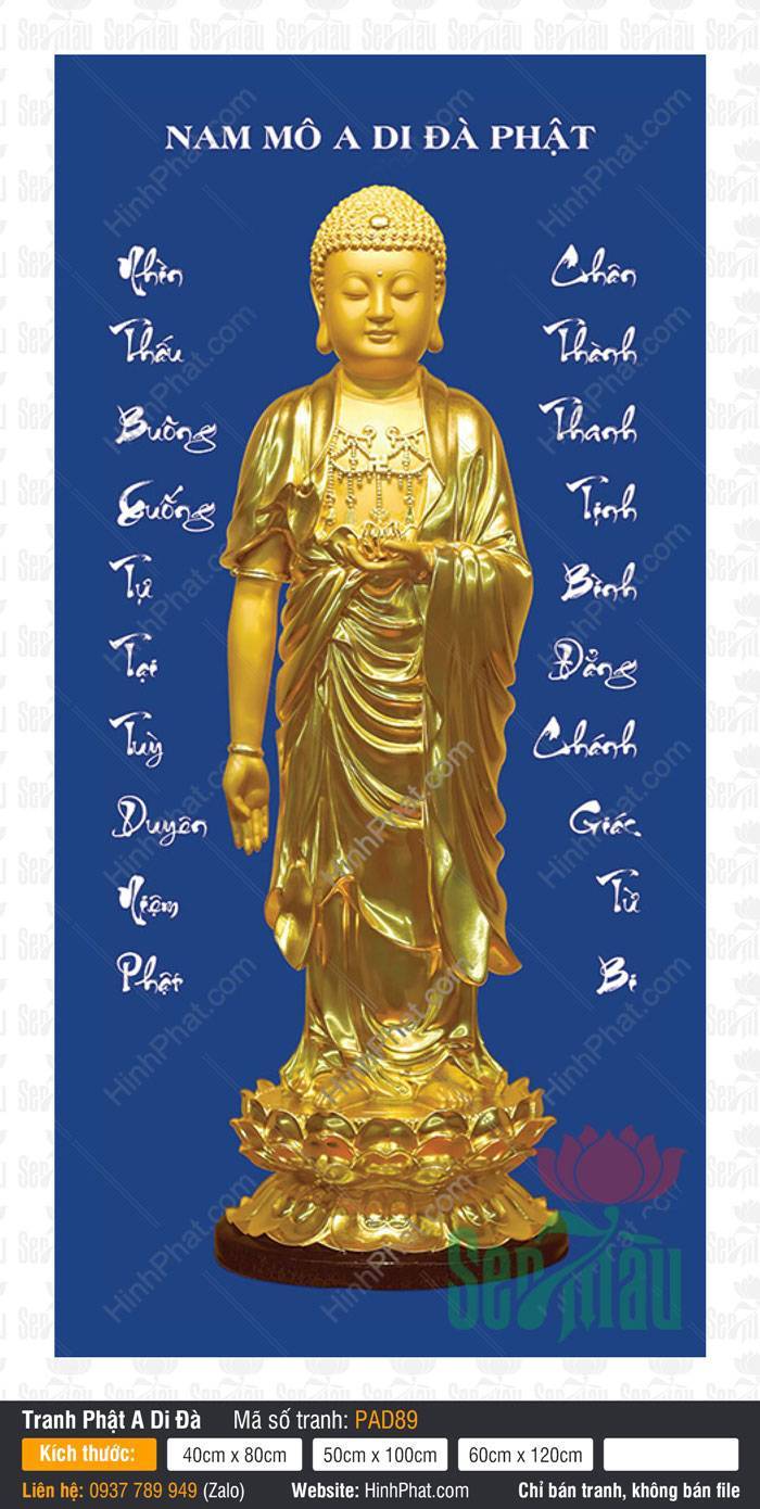 Hình Ảnh Phật A Di Đà Đẹp Nhất PAD89 Hình Ảnh Phật A Di Đà Đẹp Nhất PAD89 ngự đài sen trên nền xanh