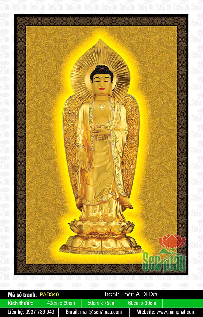 Hình Ảnh Phật A Di Đà Đẹp PAD340
