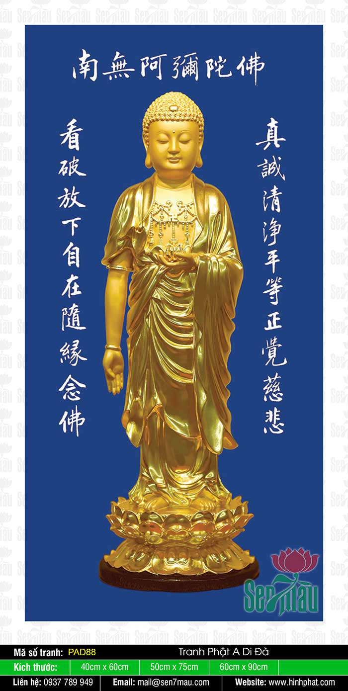Hình ảnh Phật A Di Đà tràn ngập tình thương và sự bao dung của Đức Phật, họa quyện với sự tôn kính và đẳng cấp của nghệ thuật.