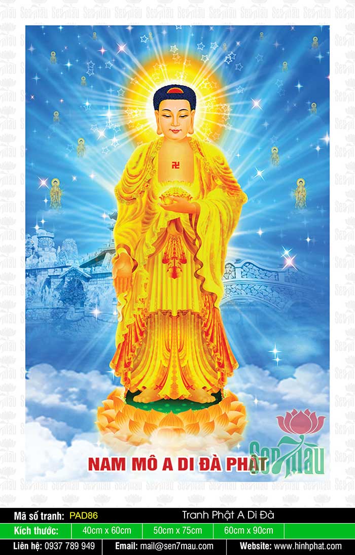 Hình ảnh Phật A Di Đà mang đến cảm giác thanh thản hòa nhã, giúp bạn xả stress và tìm lại sự cân bằng nội tâm.