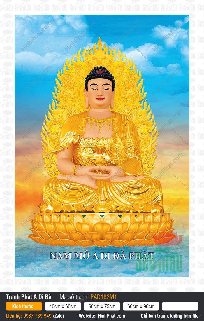 Hình Ảnh Phật A Di Đà PAD182M1 Hình Ảnh Phật A Di Đà an tọa thiền định trên tòa sen vàng hào quang rực rỡ