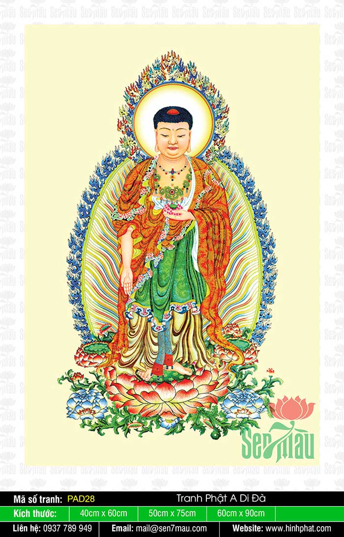 Hình Ảnh Phật A Di Đà - PAD28