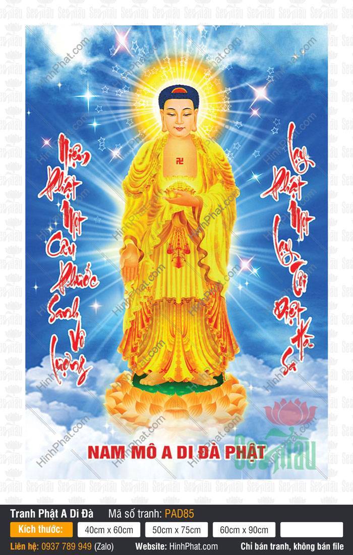 Hình Ảnh Phật A Di Đà PAD85 Hình Ảnh Phật A Di Đà PAD85 khoác y vàng đứng ngự đài sen giữa trời mây