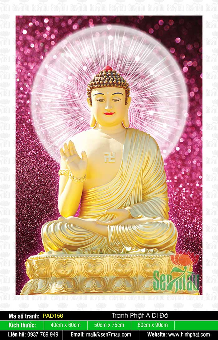 Hình Đức Phật A Di Đà Đẹp Nhất - PAD156