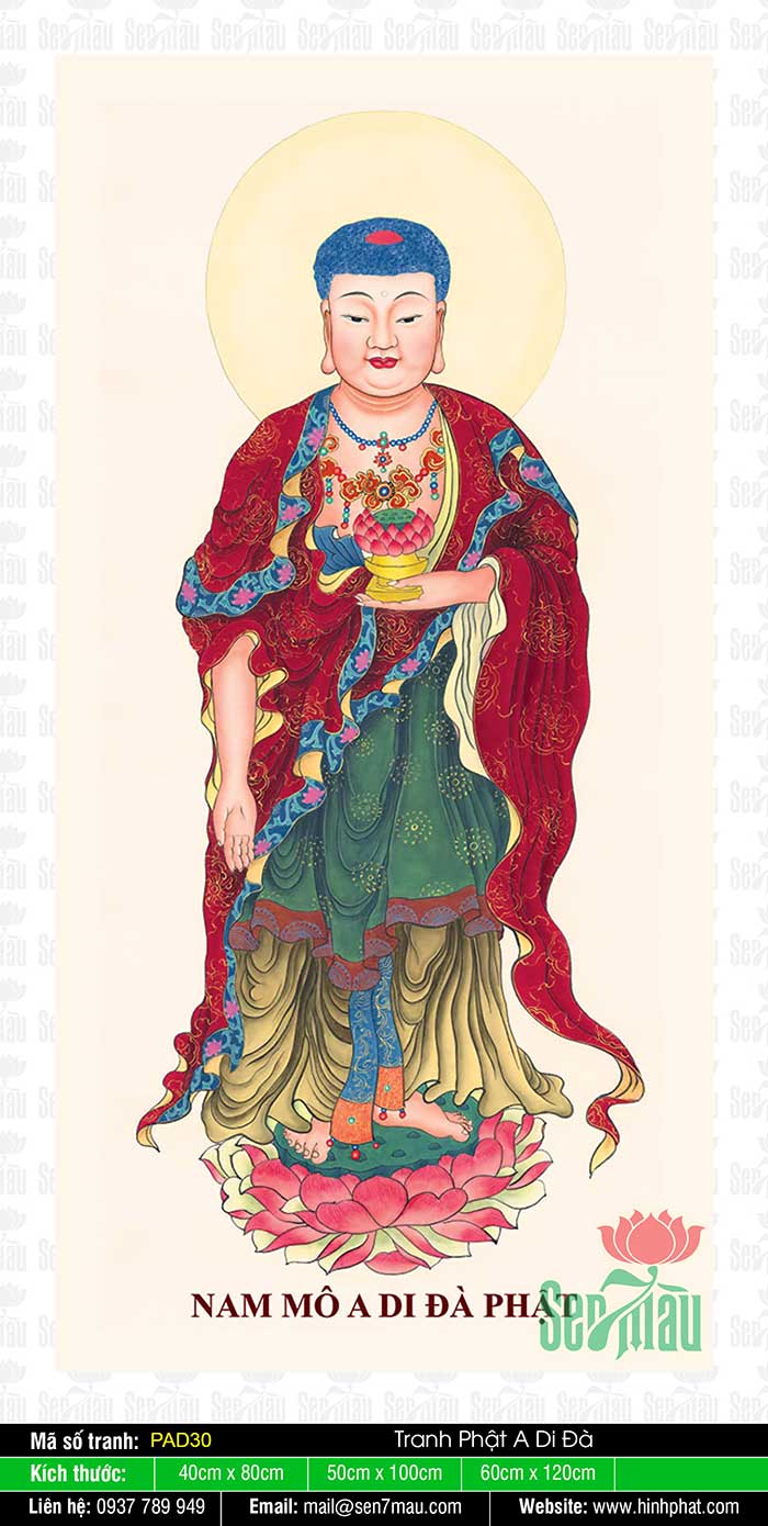 Hình Đức Phật A Di Đà Đẹp Nhất - PAD30