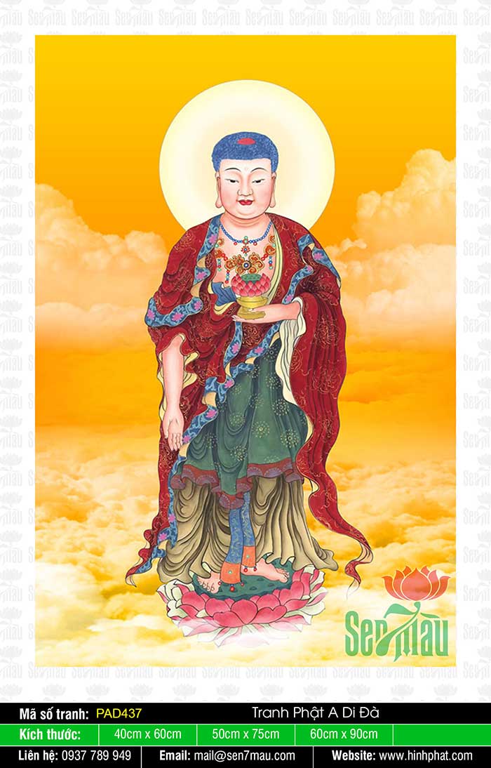 Hình Đức Phật A Di Đà Đẹp Nhất PAD437