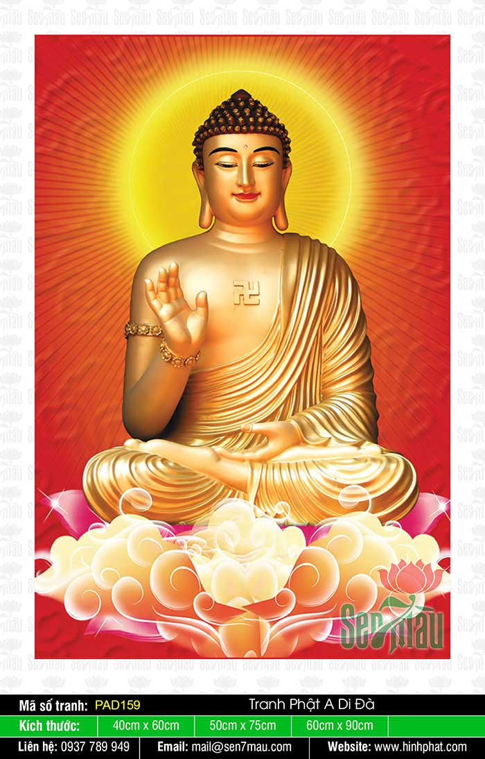 Thông qua những hình ảnh Phật A Di Đà, bạn sẽ cảm nhận được sự yên bình và sự tịnh dịch trong từng đường nét. Hãy cùng đắm chìm trong không gian tâm linh đầy sức sống này.