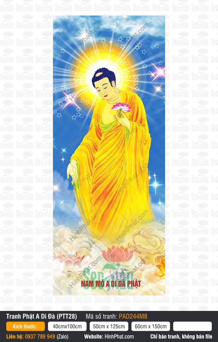 Hình Phật A Di Đà Chất Lượng Cao PAD244M8 Hình Phật A Di Đà Chất Lượng Cao dáng đứng ngự mây sao áo vàng