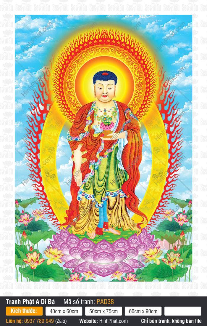 Hình Phật A Di Đà Chất Lượng Cao PAD38 Hình Phật A Di Đà Chất Lượng Cao ngự trên đài sen tím giữa nền trời xanh