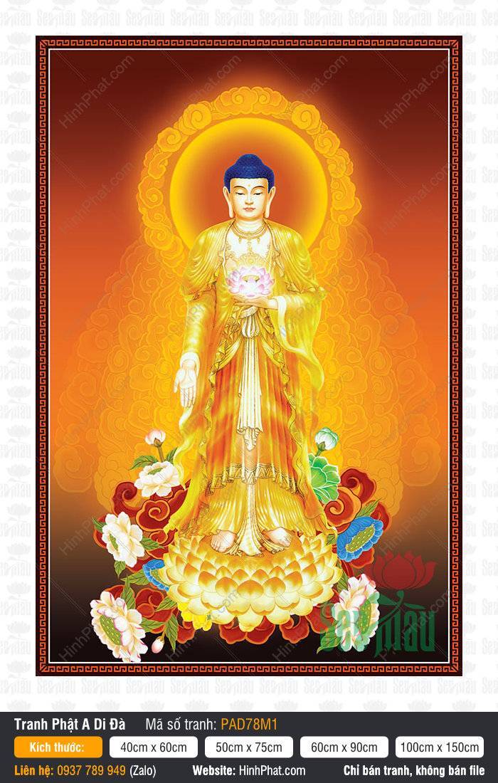 Hình Phật A Di Đà Đẹp Nhất PAD78M1 Hình Phật A Di Đà Đẹp Nhất PAD78M1 ngự đài sen vàng nền cam