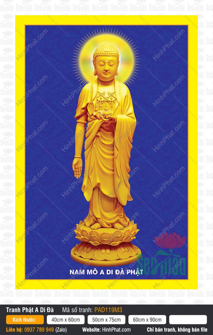 Hình Phật A Di Đà đứng trên đài sen, hào quang sáng, nền xanh trang nghiêm