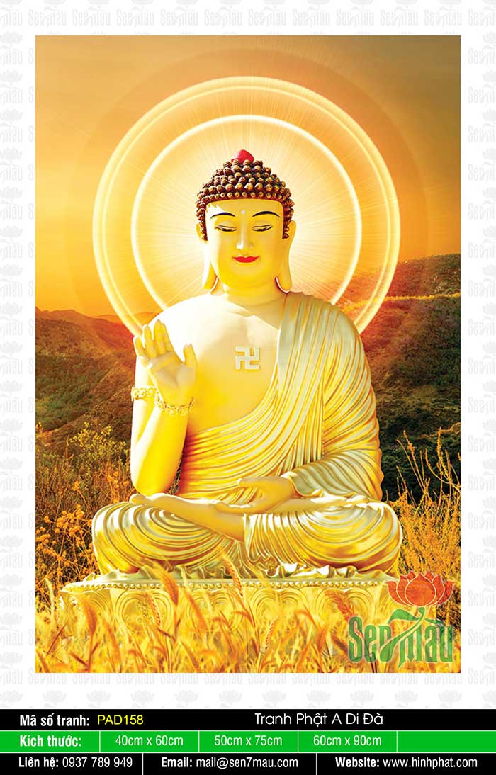 Hình Phật A Di Đà - Tranh Phật - PAD158