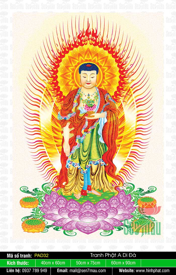 Hình Phật A Di Đà - Tranh Phật - PAD32