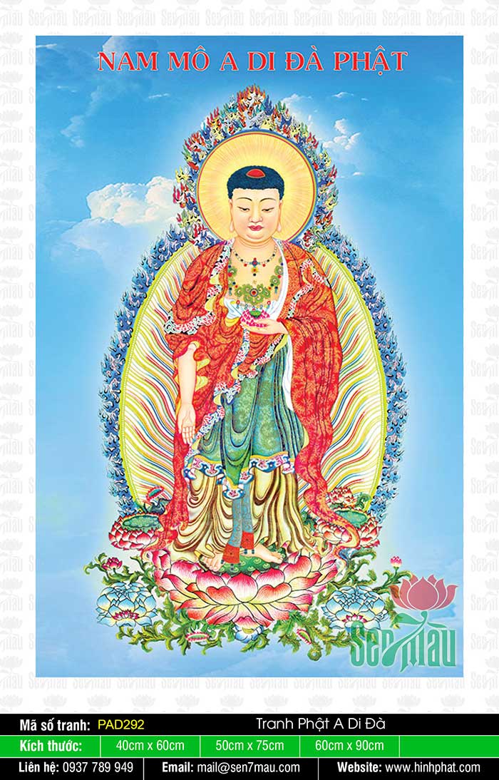 Những Bức Hình Về Phật A Di Đà Đẹp Nhất PAD292