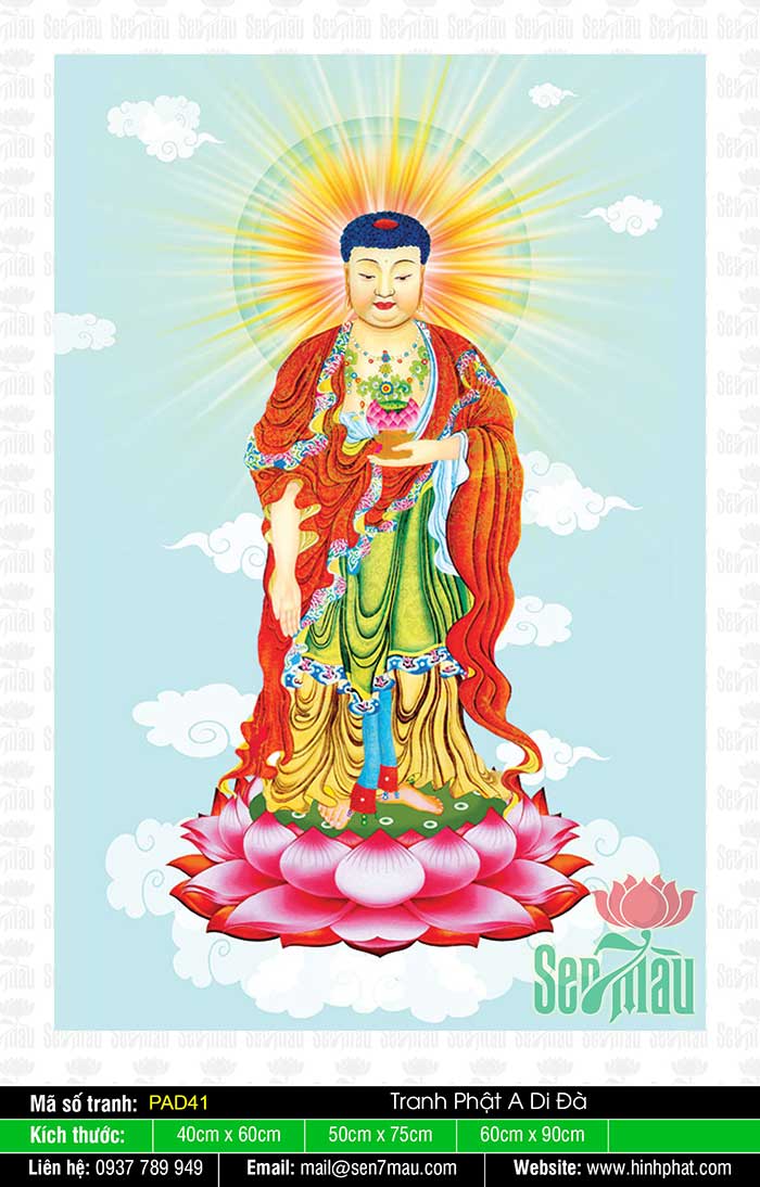 Những Hình Ảnh Phật A Di Đà Đẹp Nhất - Pad41