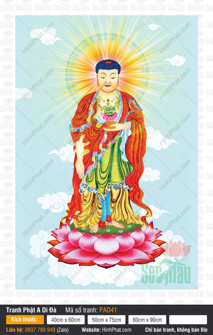 Những Hình Ảnh Phật A Di Đà Đẹp Nhất PAD41 Những Hình Ảnh Phật A Di Đà Đẹp Nhất PAD41 khoác y áo đỏ đài sen