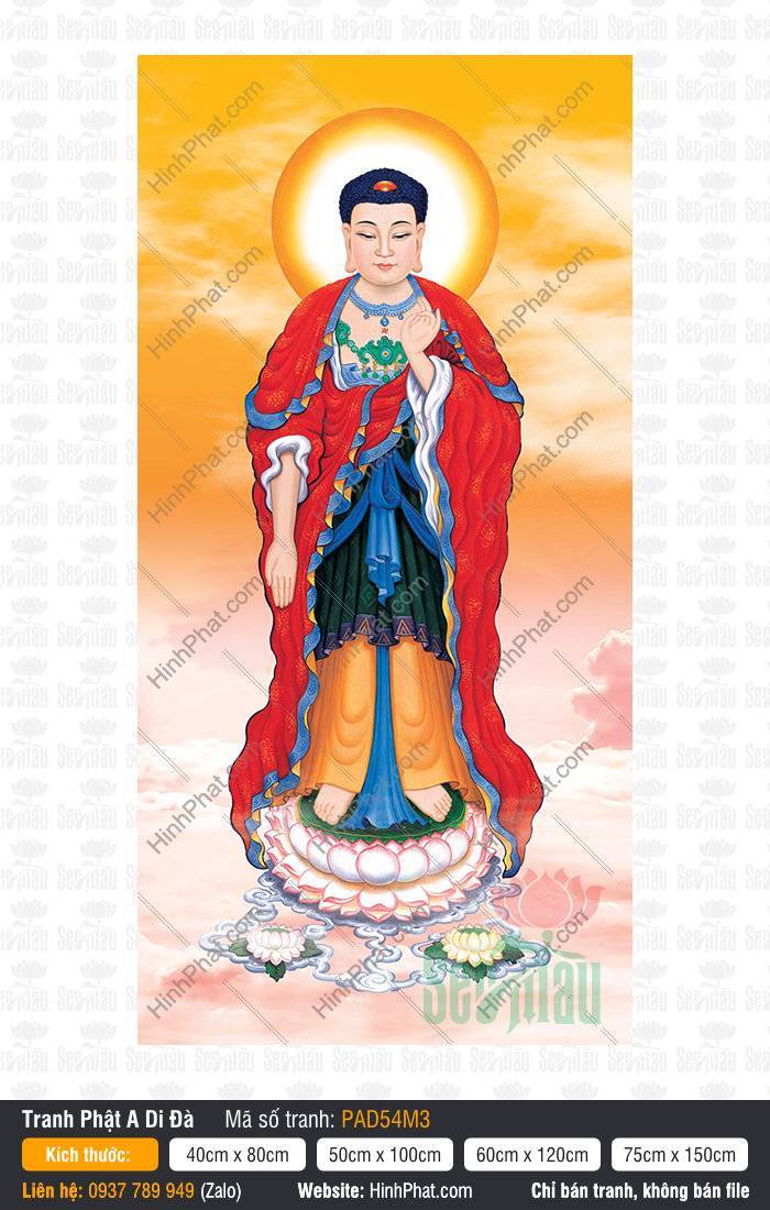 Những Hình Ảnh Phật A Di Đà Đẹp Nhất PAD54M3 Những Hình Ảnh Phật A Di Đà Đẹp Nhất đứng tòa sen giữa mây vàng