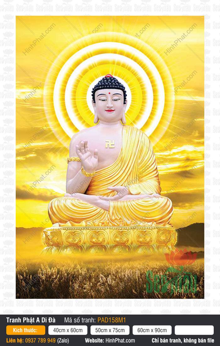 Phật A Di Đà ngồi tòa sen dưới hào quang vàng