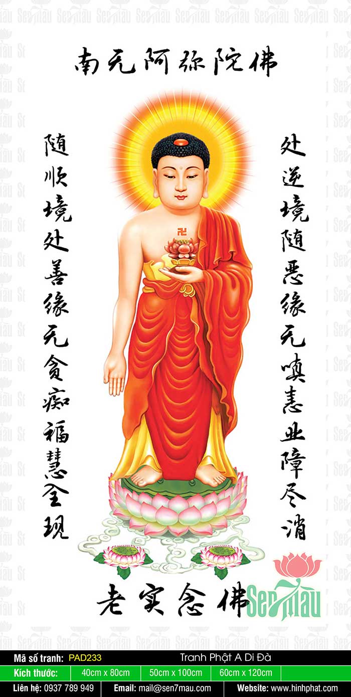 Phật A-di-đà - Hình Phật - PAD233