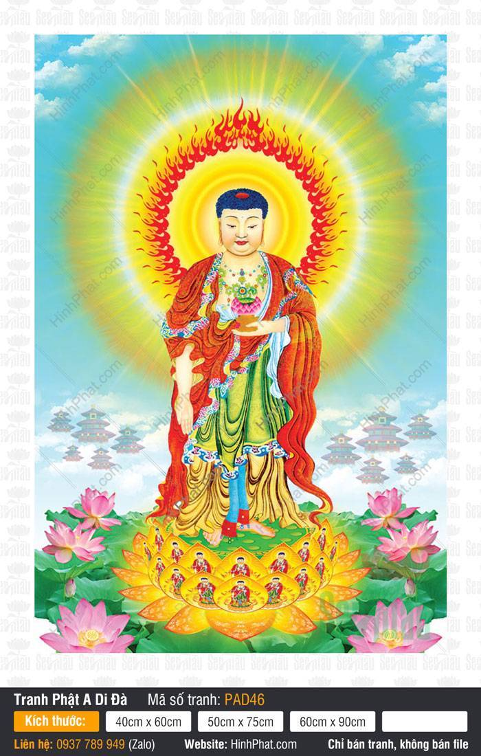 Tôn Ảnh A Di Đà Phật Đẹp PAD46 Tôn Ảnh A Di Đà Phật Đẹp PAD46 khoác y áo đỏ đứng trên đài sen vàng giữa hồ sen