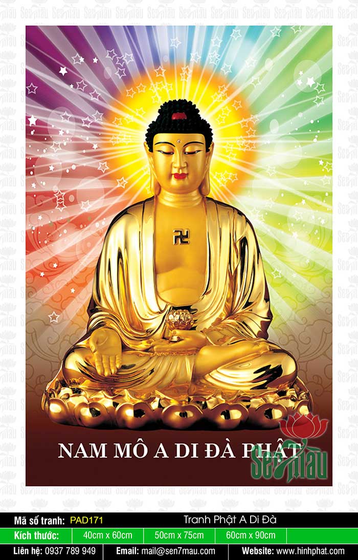 Hình ảnh Tôn Ảnh A Di Đà Phật là niềm hy vọng và niềm tin vô bờ bến của đạo phật. Hãy cùng khám phá chi tiết về đấng tôn nghiêm, tuyệt đẹp và có nhiều màu sắc của phật giáo.