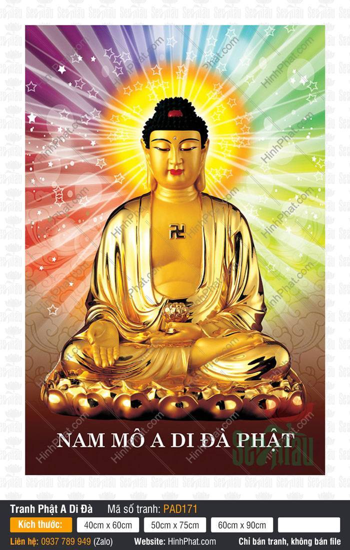 Tôn Ảnh A Di Đà Phật PAD171 Tôn Ảnh A Di Đà Phật PAD171 ngồi kiết già toàn thân ánh vàng kim giữa nền ngũ sắc