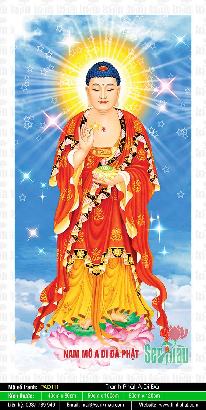 Trong bức ảnh Đức Phật A Di Đà, Quan Âm Bồ Tát trông rất trang nghiêm và thanh tịnh. Hãy chiêm ngưỡng và tìm hiểu thêm về sự cao quý của những nhân vật thiêng liêng này.