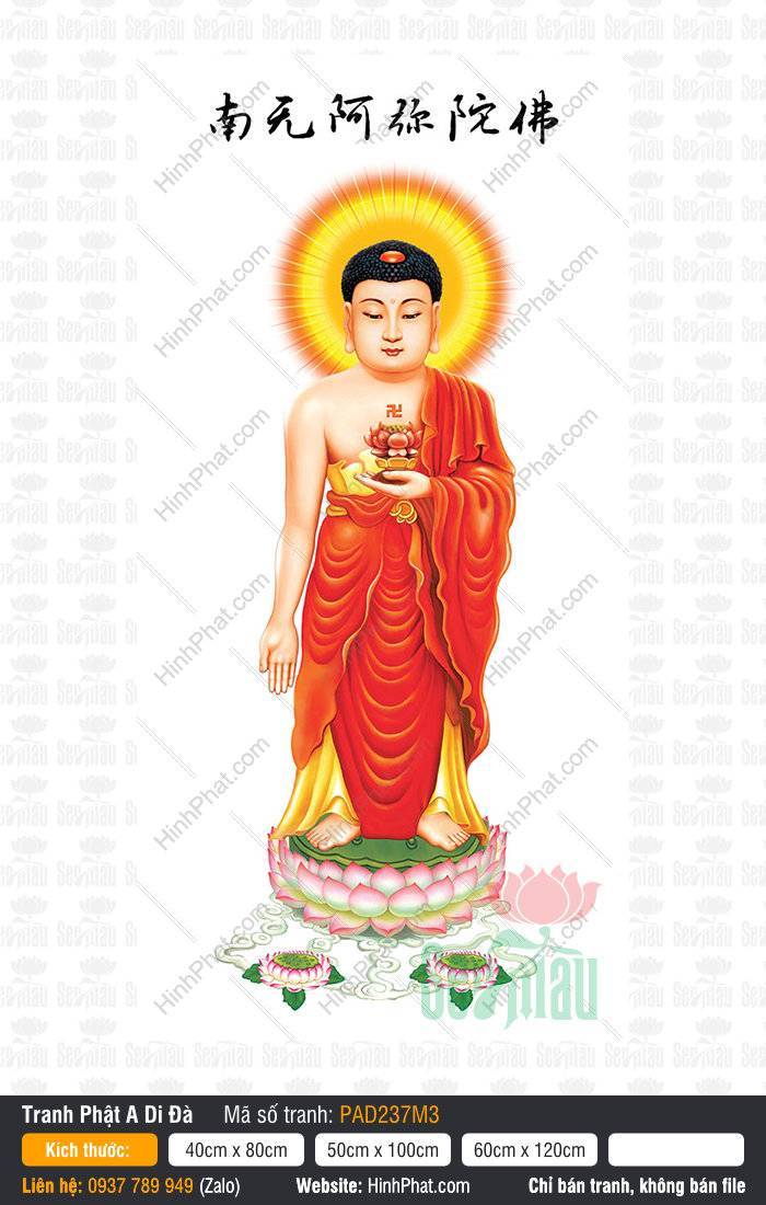 Tôn Ảnh Đức Phật A Di Đà Đẹp PAD237M3 Tôn Ảnh Đức Phật A Di Đà Đẹp PAD237M3 dáng đứng tiếp dẫn nền trắng