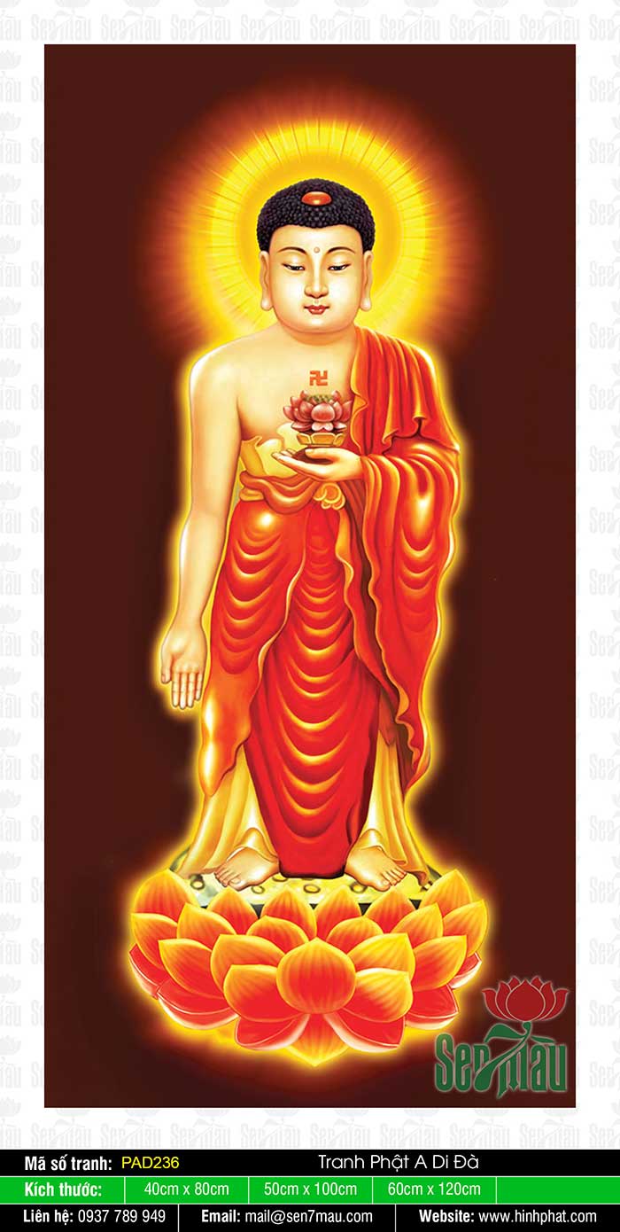 Tôn Ảnh Đức Phật A Di Đà - PAD236