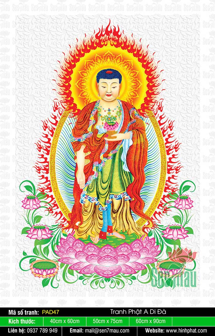 Đức Phật A Di Đà gắn liền với niềm hy vọng về một cuộc sống hạnh phúc, an lạc. Hình ảnh Đức Phật A Di Đà mang đến cho bạn cảm giác bình yên và lòng biết ơn về cuộc sống này. Hãy để hình ảnh Đức Phật A Di Đà truyền tải những giá trị tốt đẹp vào trong tâm hồn bạn.