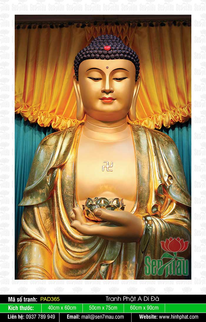Tôn Ảnh Phật A Di Đà Chất Lượng Cao PAD365