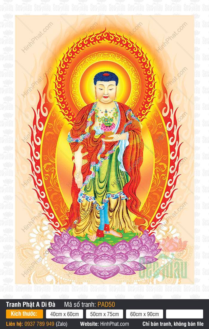 Tôn Ảnh Phật A Di Đà Chất Lượng Cao PAD50 Tôn Ảnh Phật A Di Đà Chất Lượng Cao PAD50 đứng trên đài sen tím tỏa hào quang lửa