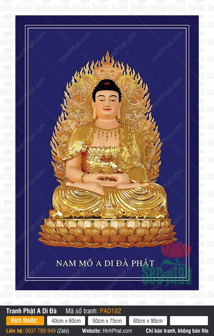 Tranh Phật A Di Đà PAD182 Tranh Phật A Di Đà PAD182 ngồi kiết già trên bệ sen vàng nền xanh