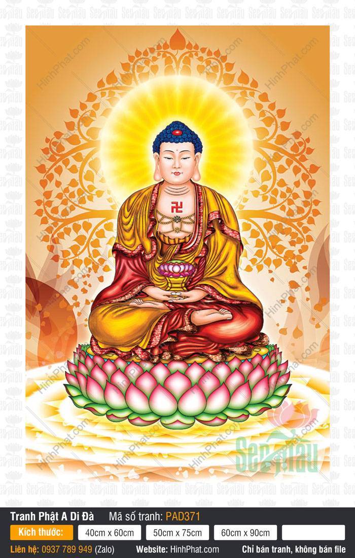 Tranh Phật A Di Đà - Cửa Hàng Tranh Phật Giáo PAD371 Tranh Phật A Di Đà ngự tòa sen hồng dưới tán bồ đề tỏa hào quang