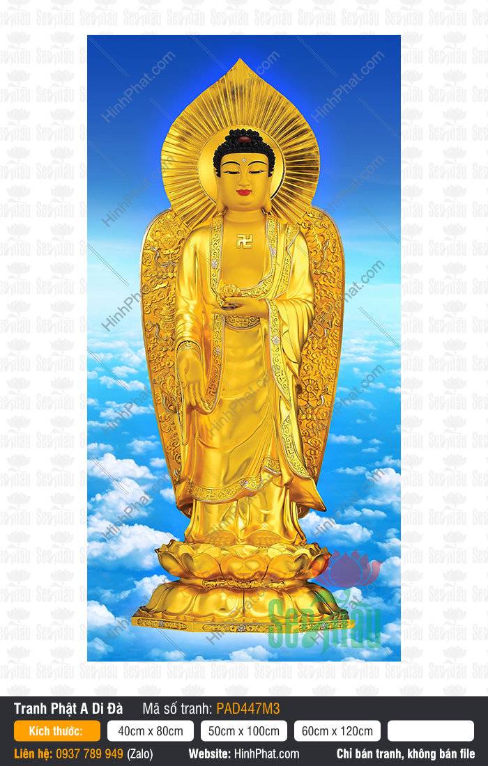 Phật A Di Đà đứng tiếp dẫn trên tòa sen nền trời xanh