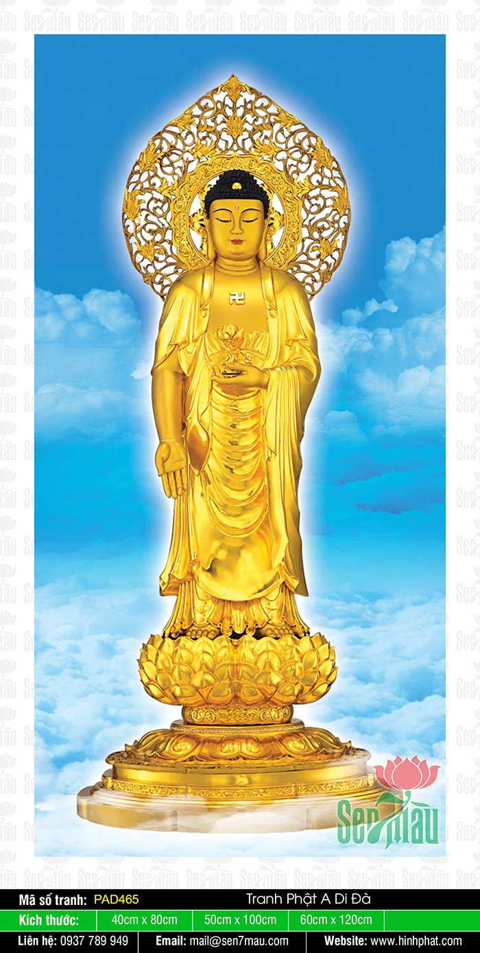 Tranh Phật A Di Đà Đẹp Nhất PAD465