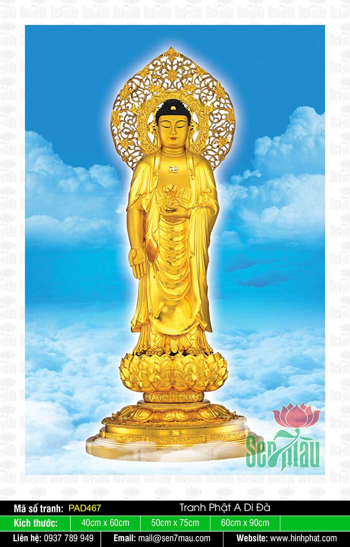 Tranh Về Đức Phật A Di Đà PAD467