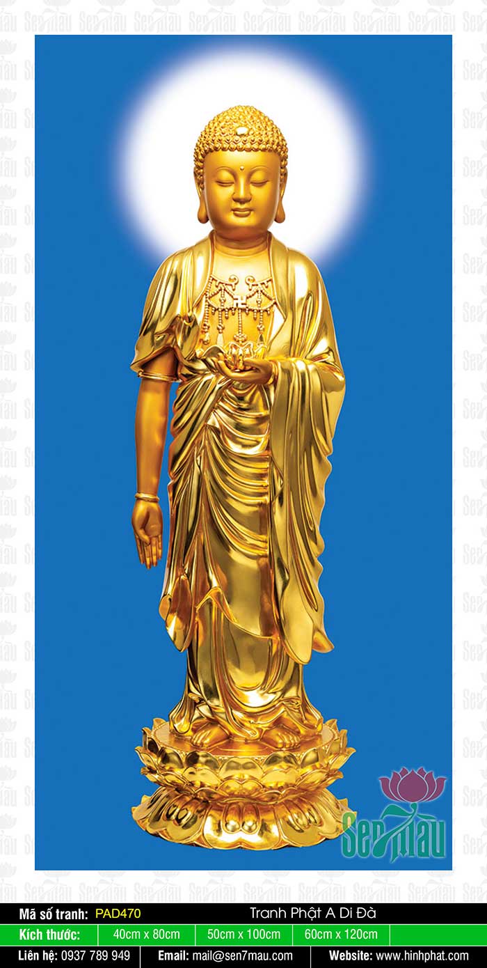 Tranh Về Phật A Di Đà Đẹp PAD470