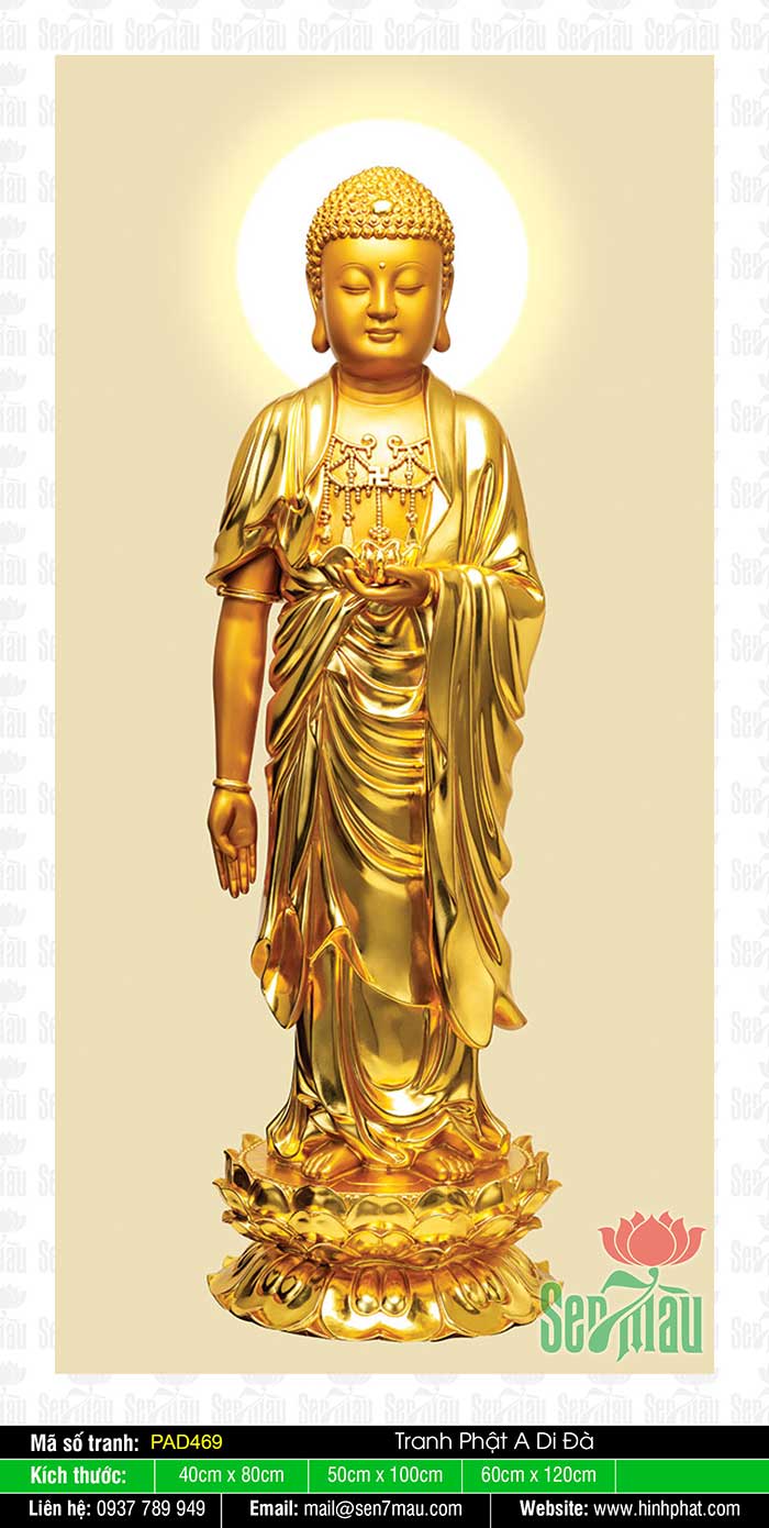 Tranh Về Phật A Di Đà PAD469
