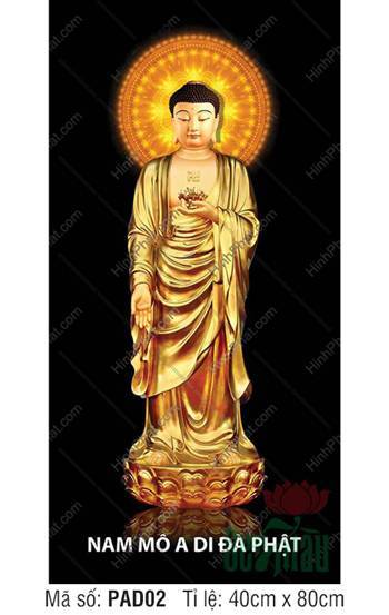 Ảnh A Di Đà Phật Đẹp PAD02, dáng đứng y vàng hào quang tỏa sáng