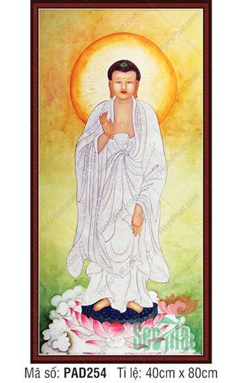 Ảnh A Di Đà Phật Đẹp PAD254, Dáng Đứng Bạch Y Ngự Sen