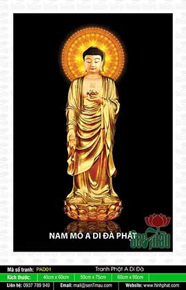 Ảnh A Di Đà Phật - PAD01