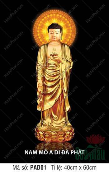 Ảnh A Di Đà Phật PAD01, ngự tòa sen vàng rực rỡ hào quang