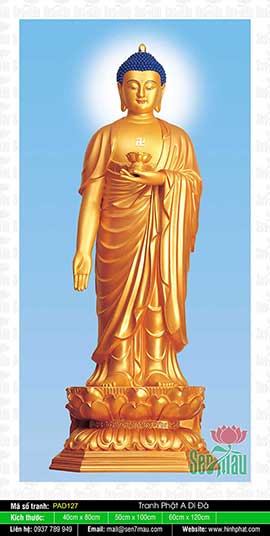 Ảnh A Di Đà Phật - PAD127