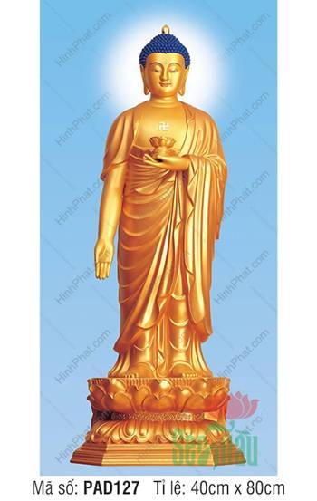 Ảnh A Di Đà Phật PAD127, toàn thân vàng óng đứng đài sen