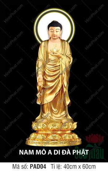 Ảnh Đức Phật A Di Đà Chất Lượng PAD04, áo vàng đài sen