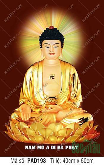 Ảnh Đức Phật A Di Đà Chất Lượng PAD193, tôn tượng an tọa nền nâu đỏ