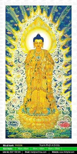 Ảnh Đức Phật A Di Đà Chất Lượng - PAD256