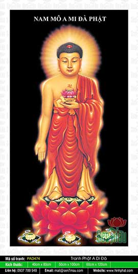 Ảnh Đức Phật A Di Đà Chất Lượng PAD474