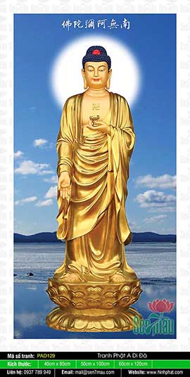 Ảnh Đức Phật A Di Đà - PAD129